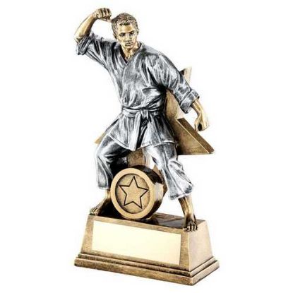 Picture of Brz~gold~pew Male Martial Arts Figure With Star Backing And Plate (1in Cen)