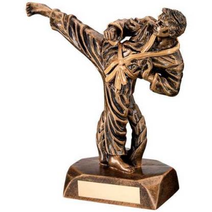 Picture of Brz~gold Resin Karate Figure With Plate