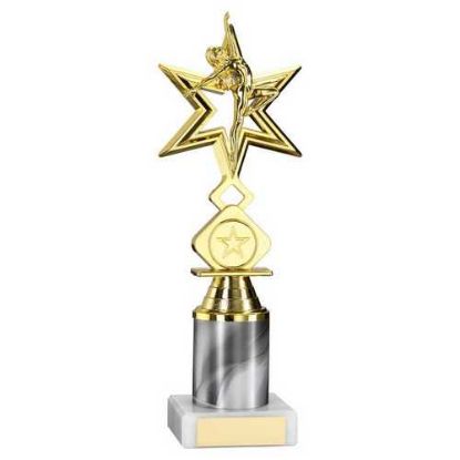 Picture of Gold~white Dance~gym Star Figure Assembled On Marble