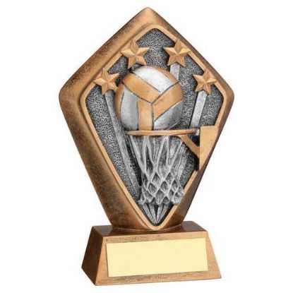 Picture of Brz~gold Diamond Holder With Netball Disc With Plate