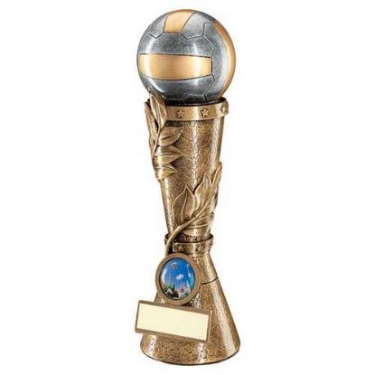 Picture of Brz~pew~gold Netball Leaf Column With Plate  (1in Centre)