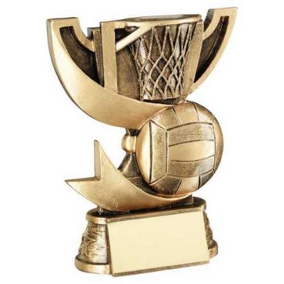 Picture of Brz~gold Cup Range For Netball With Plate
