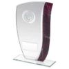 Picture of Jade Glass With Claret|silver Marble Detail And Netball Insert And Plate - 6.5"