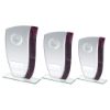 Picture of Jade Glass With Claret|silver Marble Detail And Hockey Insert With Plate - 8"