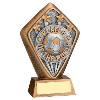 Picture of Brz~gold Diamond Holder With Player Of The Month Disc And Plate