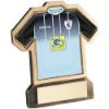 Picture of Brz|gold Resin Football Shirt Plaque With Plate - (Shirt C) 4.5in