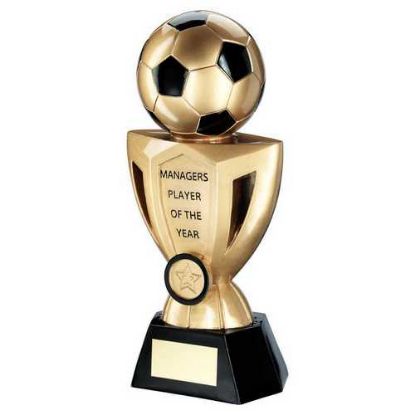 Picture of Gold~black Football On Cup With Plate (1in Centre) Managers Player