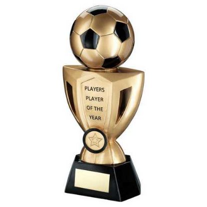Picture of Gold~black Football On Cup With Plate (1in Centre) Players Player