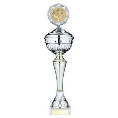 Picture of Silver~gold Snakeskin Trophy Cup With Lid With Plate (2in Centre)