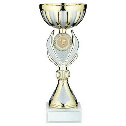 Picture of Gold~matt Silver Trophy Cup With Plate (1in Centre)