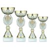 Picture of Gold|matt Silver Trophy Cup With Plate (2in Centre) - 11.25in