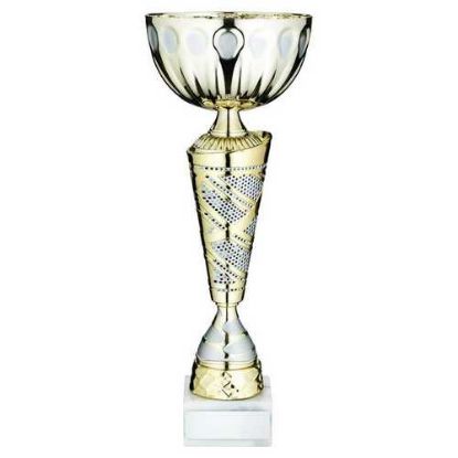 Picture of Gold~matt Silv Trophy Cup With Plate