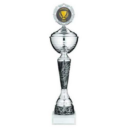 Picture of Silv~pewter Trophy Cup With Lid With Plate (2in Centre)