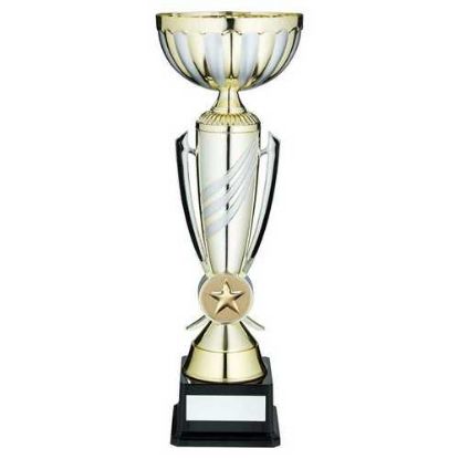 Picture of Gold~matt Silver 3 Stripe Trophy Cup With Plate (2in Centre)