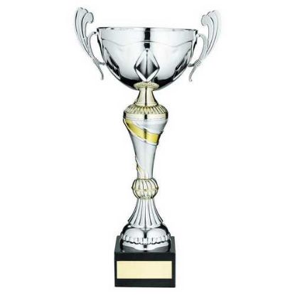 Picture of Silver~gold Trophy Cup With Handles And Plate