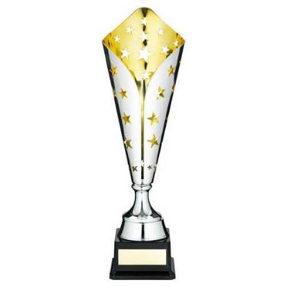 Picture of Silver~gold Metal Star Trophy Cup With Plate