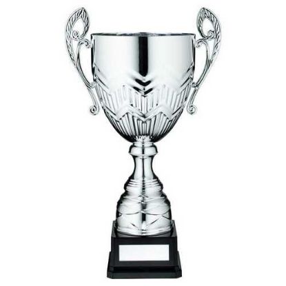 Picture of Silver Bullet Bowl With Handles Assembled Trophy And Plate