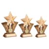 Picture of Brz|gold Generic Star With Badminton Insert With Plate - 5in