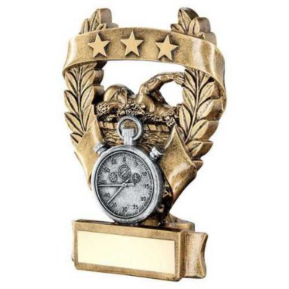 Picture of Brz~pew~gold Swimming 3 Star Wreath Award With Plate