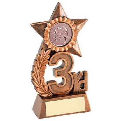 Picture of Bronze Leaf And Star Award With Athletics Insert And Plate