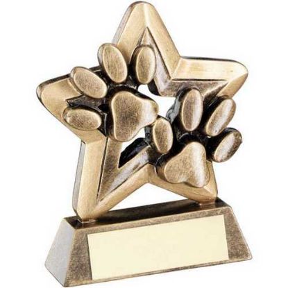 Picture of Brz~gold Dog Paws With Plate Mini Star With Plate