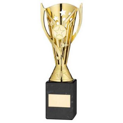 Picture of Gold Plastic Flash Cup On Black Marble Assembled Trophy (1" Cen) - 9in