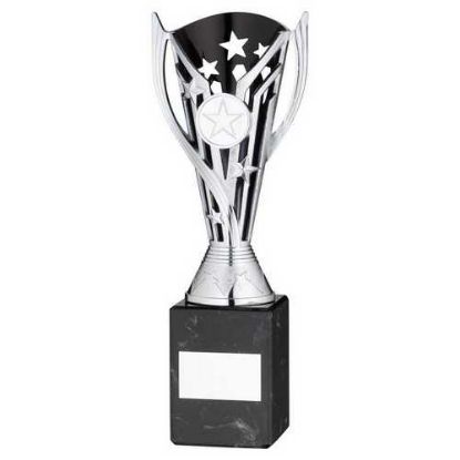Picture of Silver|blk Plastic Flash Cup On Blk Marble Assembled Trophy (1" Cen) - 9in