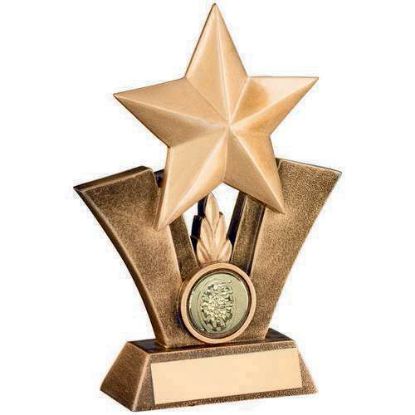 Picture of Brz~gold Generic Star With Darts Insert With Plate