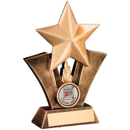 Picture of Brz~gold Generic Star With School Insert With Plate