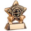 Picture of Brz|gold Mini Star Well Done With Plate (1in Centre) - 3.75in