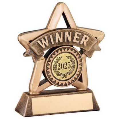 Picture of Brz~gold Resin Mini Star With Plate (1in Centre) Wnr