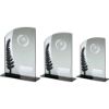 Picture of Jade Glass Plaque With Black|silver Detail With Rugby Insert And Plate - 6.5in