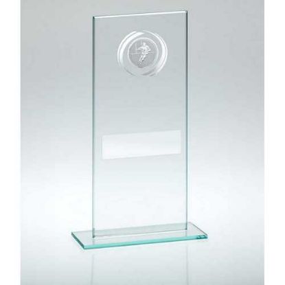 Picture of Jade|silver Glass With Rugby Insert And Plate - 7.25in