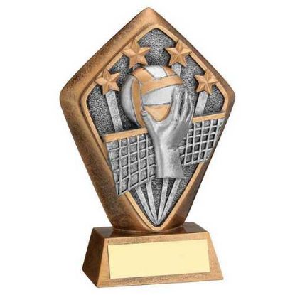 Picture of Brz~gold Diamond Holder With Volleyball Disc With Plate