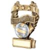 Picture of Brz|pew|gold Volleyball 3 Star Wreath Award With Plate - 5in