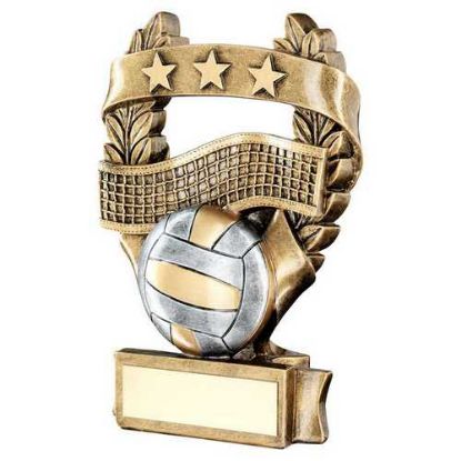 Picture of Brz~pew~gold Volleyball 3 Star Wreath Award With Plate