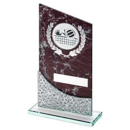 Picture of Brown Marble Printed Glass Plaque With Volleyball Insert And Plate