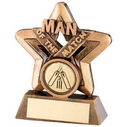 Picture of Brz~gold Man Of The Match Mini Star With Cricket Insert And Plate