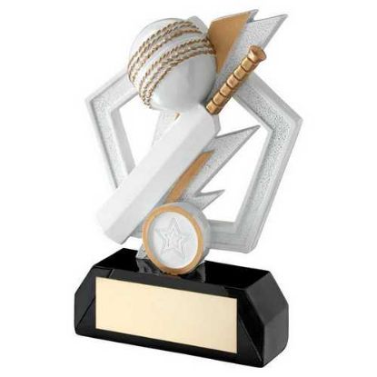 Picture of White~gold~black Cricket Bat And Ball On Pentagon With Plate (1in Cen)