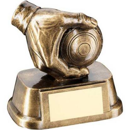 Picture of Brz~gold Lawn Bowl In Hand With Plate