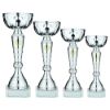 Picture of Silver Trophy Cup With Gold Wreath - 7.5in