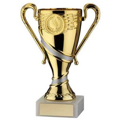 Picture of Gold~matt Silver Plastic Trophy Cup (1in Centre)