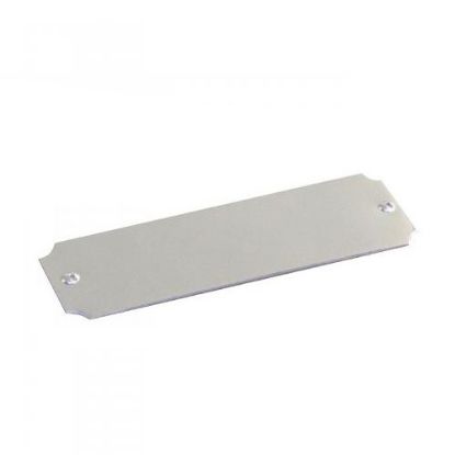Picture of Silver Dummy Pin~scalloped Plate