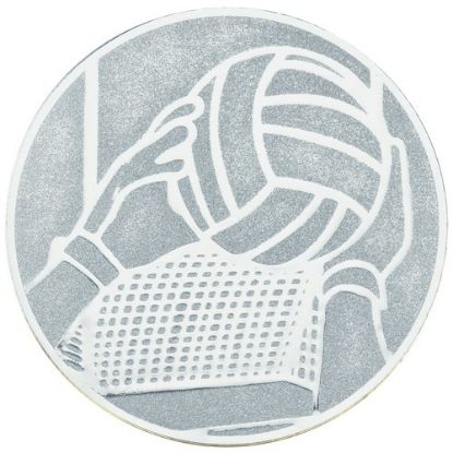 Picture of Metal Gaelic Football Centre 50mm Silver
