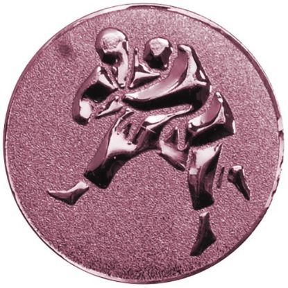 Picture of Metal Judo Centre 50mm Bronze