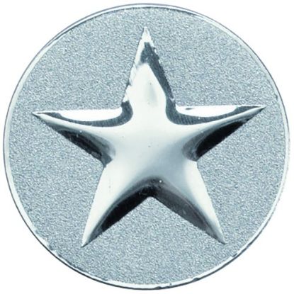 Picture of Metal Star Centre 50mm Silver