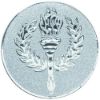 Picture of Metal Victory Torch Centre 50mm Silver - 2in
