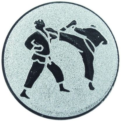 Picture of Metal Karate Centre 25mm Silver
