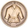 Picture of Martial Arts Medallion Antique Gold - 2.75in
