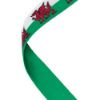 Picture of Medal Ribbon Welsh Flag - 30 X 0.875in